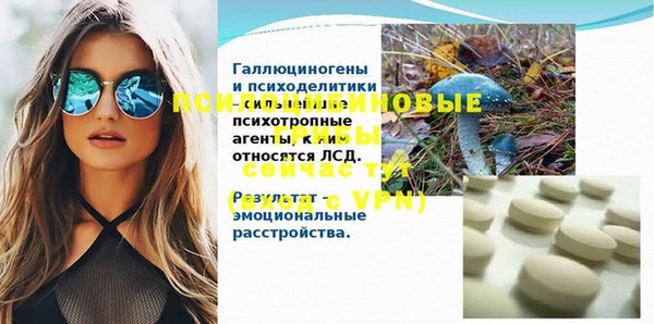 спайс Алзамай