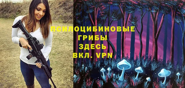 тгк Алексин