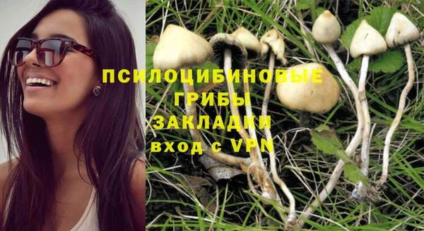 спайс Алзамай