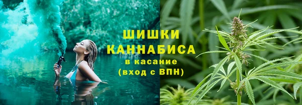 каннабис Покачи
