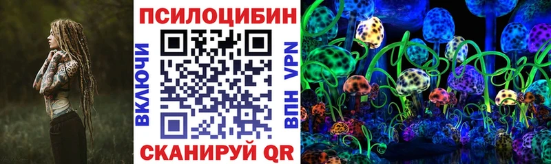 где купить   Пустошка  KRAKEN как войти  Галлюциногенные грибы мицелий 